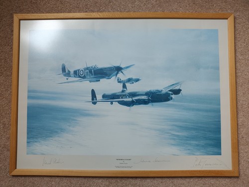 Memorial flight by robert - flight',