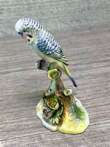 Royal adderley bone - royal,