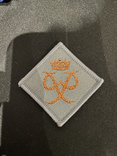 Duke edinburgh bronze award - duke, of