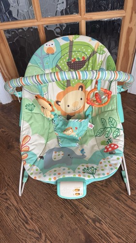 Bright starts safari baby - safari,