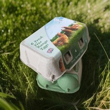 25 Large Size Half Dozen Hen Egg Boxes for Egg Storage Crafts Gardening