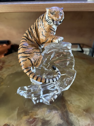 Siberian tiger from - siberian,