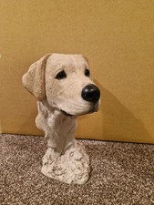 Sherratt & Simpson Labrador