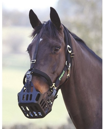 Shires greenguard muzzle - shires,