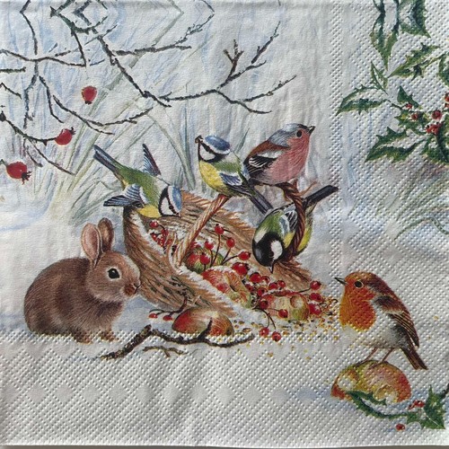 Cocktail paper napkins - cocktail,