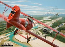 Godwin von Brumowski, Albatros