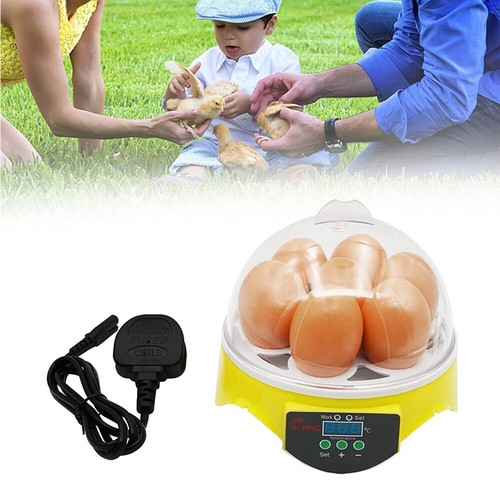 Automatic digital egg - 7,
