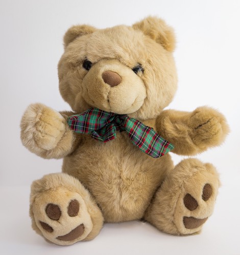 Debenhams vintage teddy - debenhams,