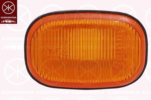Direction indicator light for - indicator,