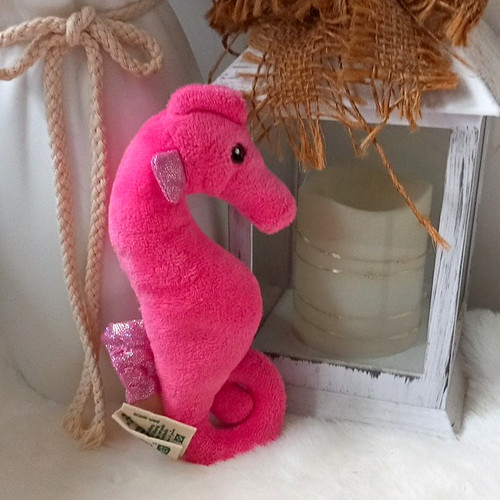 Nature planet pink seahorse - pink,