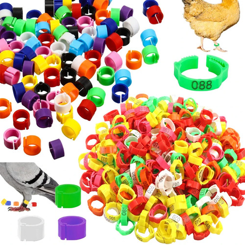 Click clips rings for chick - click,
