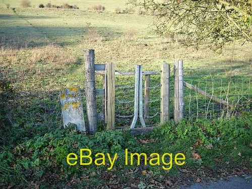 Photo 6x4 cattle proof - 6x4, cattle-proof
