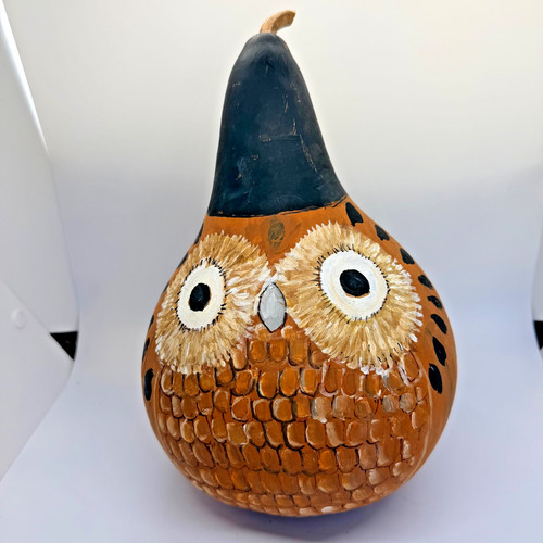 Hand painted gourd owl - hand, folk