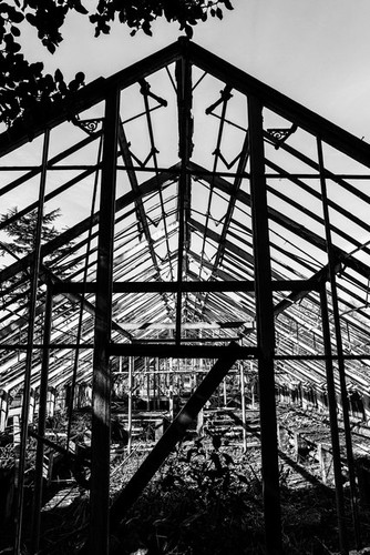 Photo 6x4 the abandoned - 6x4,