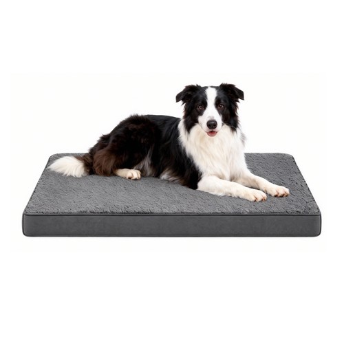 Orthopaedic dog bed - orthopaedic, mattress