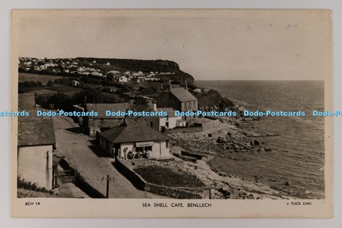 C031079 benllech sea shell - c031079,