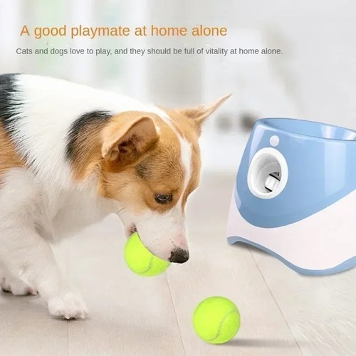 Dog automatic ball - dog,