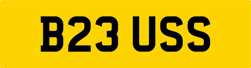 Bus volkswagen number - bus,