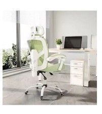 Ergonomic High Back Mesh