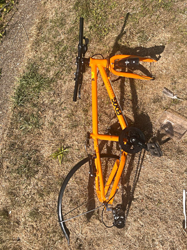 Frog bike frame - bike,