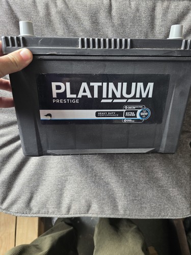 Platinum battery 250 - platinum,