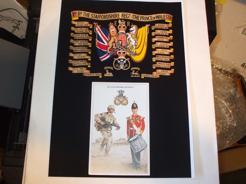 The staffordshire regiment - the,