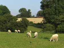 Photo 6x4 By North Lane