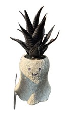 Next Botanicals Everlasting Plants Halloween White Ghost Pot w.Black Cactus ~New