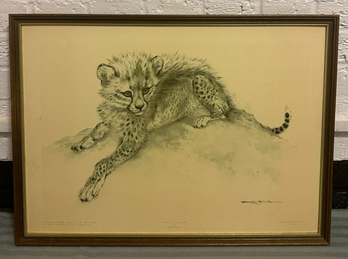 Ralph thompson vintage - ralph, cheetah