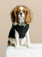 Equiline Bamboo Trench Dog