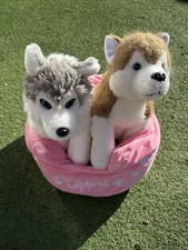 LAPLAND UK 2x SIBERIAN HUSKY