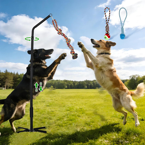 Tether tug outdoor dog - tug,