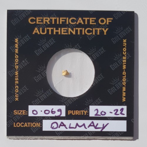 Goldwise gold nugget 06g - goldwise, 0.06g