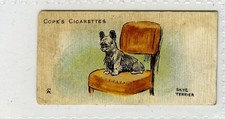 (Gd5575) Cope, Dogs of the World, (Scandinavian), #17 Skye Terrier 1912 G+