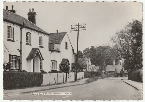 1950s postcard forest road - postcard,