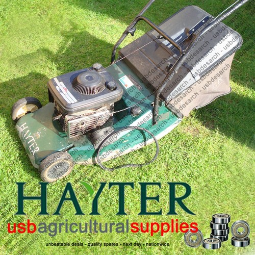 Hayter harrier drive belt - 48,