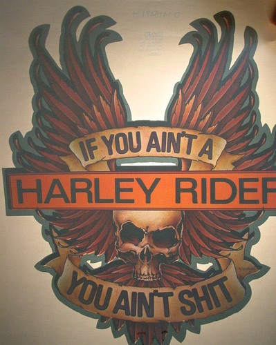 Harley davidson skull - skull, wings