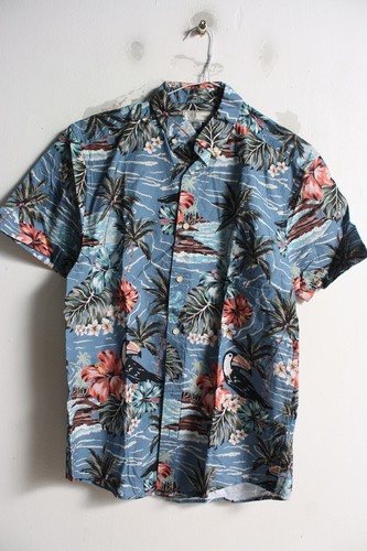 Next mens pure - pure, hawaiian