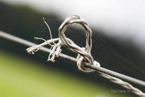 Sony macro lens extension - macro,
