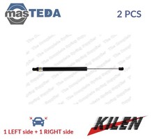 422063 TAILGATE BOOT STRUTS