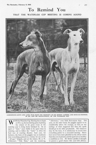Coursing jabberwock long - coursing, &