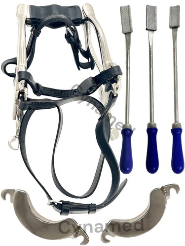 Equine dental kit - kit, set