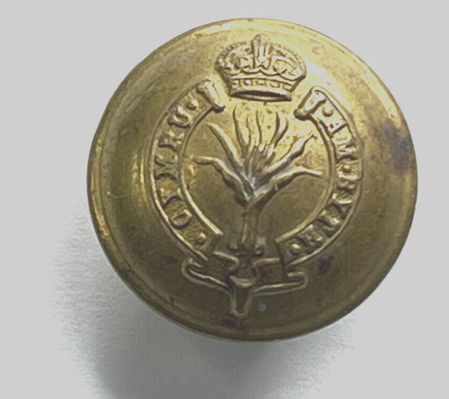Wwii welsh guards tunic button - welsh,