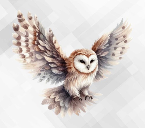 Barn owl wall vinyl - wall, sticker