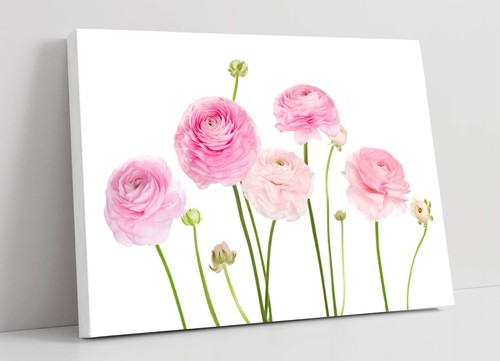 Light pink flowers watercolour - pink,