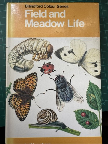 Field and meadow - life, (colour)