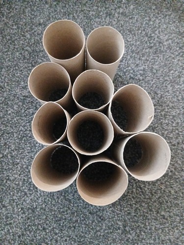 Empty toilet roll tubes - toilet,