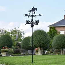 Show jumping horse free - jumping,