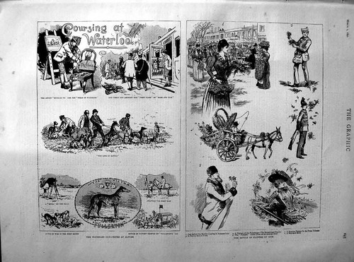 Old antique print - old,