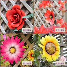Primus Large Metal Wall Mounted Flower Faces Garden Vibrant Indoor outdoor